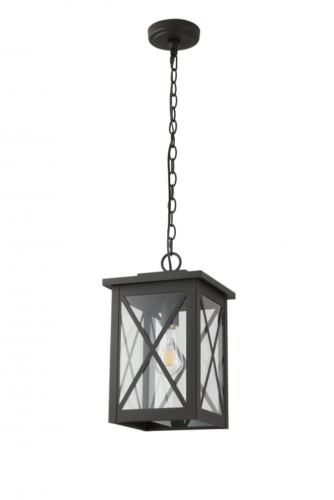 13" Outdoor Chain Hung Pendant in Black Finish with clear glass, with 3Ft chain