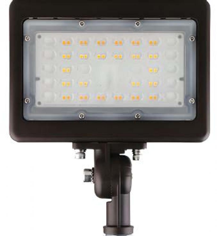 120V CCT Mini Flood Light