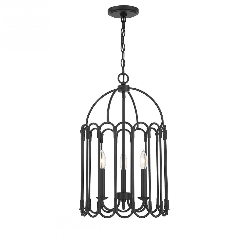 3-Light Pendant in Matte Black