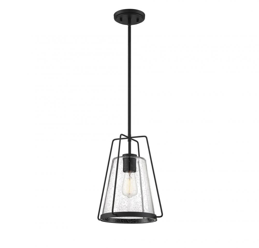 1-light Outdoor Hanging Lantern In Matte Black