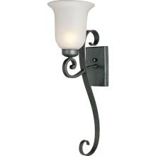 Outdoor Wall Lights