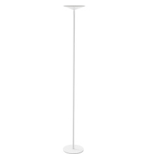 Dainolite RQL-7010LEDF-MW - 10W CCT Floor Lamp, MW