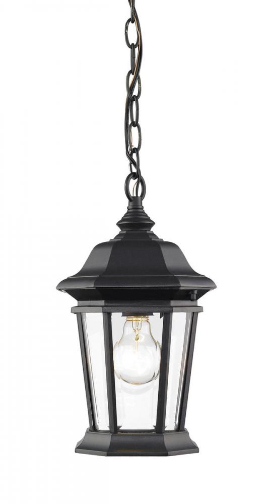 1 Light Outdoor Chain Mount Ceiling Fixture