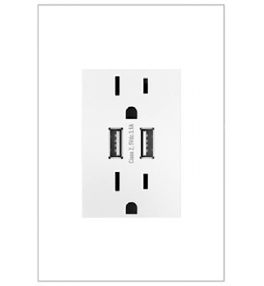 Dual USB Plus-Size Outlet Combo with Matching Wall Plate