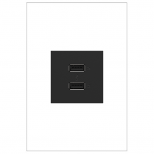Legrand Canada ARUSB2AA6G4 - 2M USB with 2-Type A/A 6A