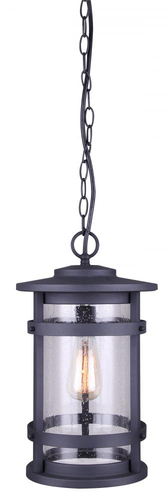 Duffy 1 Light Outdoor Lantern, Black Finish