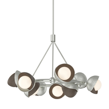 Hubbardton Forge - Canada 131068-SKT-MULT-85-05-GG0711 - Brooklyn 9-Light Double Shade Ring Pendant