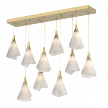 Hubbardton Forge - Canada 131202-SKT-STND-86-SH1987 - Mobius 10-Light Pendant