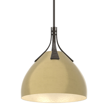 Hubbardton Forge - Canada 134502-SKT-MULT-14-86 - Summit Pendant