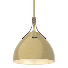 Hubbardton Forge - Canada 134502-SKT-MULT-86-86 - Summit Pendant