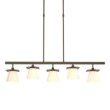 Hubbardton Forge - Canada 136605-SKT-SHRT-84-GG0242 - Wren 5 Light Pendant