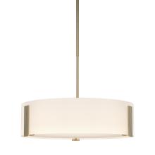 Hubbardton Forge - Canada 136753-SKT-MULT-84-GG0216 - Impressions Pendant