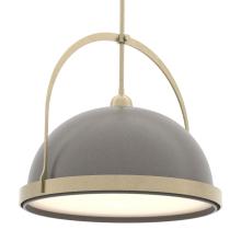 Hubbardton Forge - Canada 137462-SKT-MULT-84-07 - Atlas Large Pendant