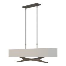 Hubbardton Forge - Canada 137655-SKT-STND-20-SJ4298 - Moreau Pendant