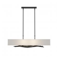 Hubbardton Forge - Canada 137660-SKT-STND-10-SJ4298 - Brindille Pendant