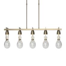 Hubbardton Forge - Canada 137810-SKT-SHRT-84-ZM0572 - Apothecary Pendant