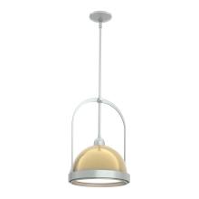 Hubbardton Forge - Canada 187462-SKT-MULT-82-86 - Atlas Small Pendant