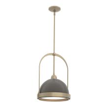 Hubbardton Forge - Canada 187462-SKT-MULT-84-07 - Atlas Small Pendant