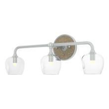 Hubbardton Forge - Canada 201342-SKT-82-84-ZM0709 - Ume 3-Light Curved Arm Bath Sconce