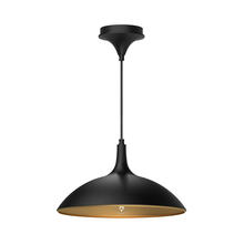 Alora Lighting PD627914MB - Abel 14-in Matte Black 1 Light Pendant