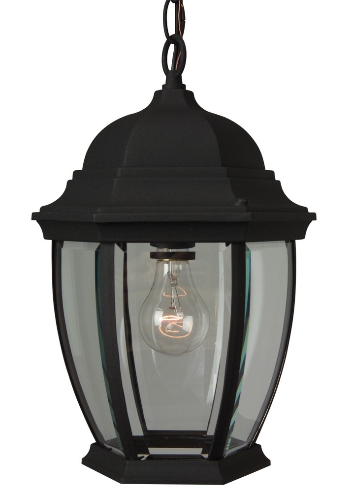 Bent Glass Cast 1 Light Outdoor Pendant in Textured Black