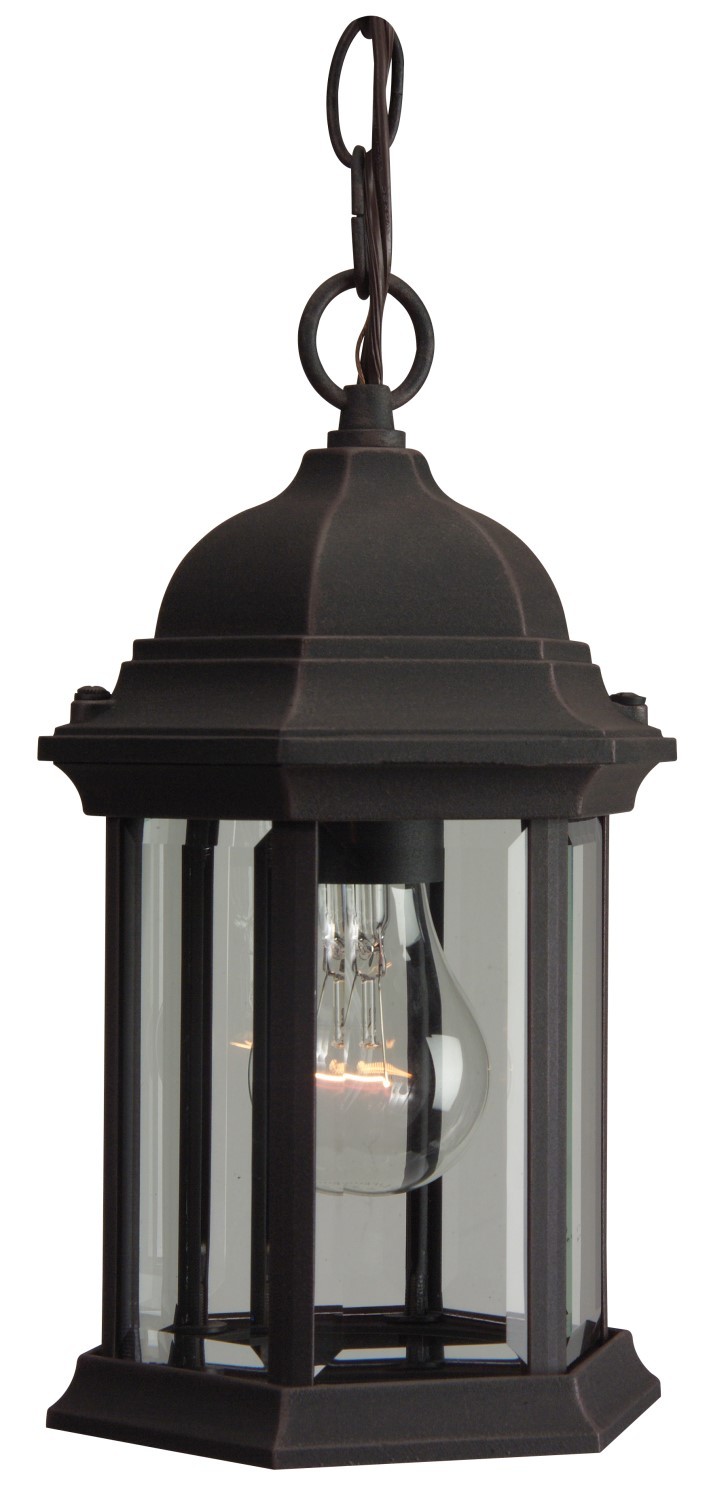 Hex Style Cast 1 Light Outdoor Pendant in Rust