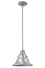 Craftmade Z4401-SA - Union 1 Light Small Outdoor Pendant in Satin Aluminum